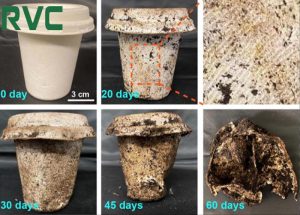 Sản Phẩm Tái Chế Từ Bã Mía