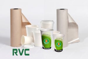 Loại giấy dùng làm cốc là loại giấy gì?