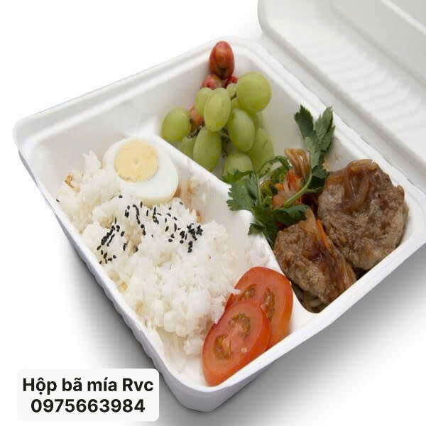 Hộp bã mía 3 ngăn đựng cơm phần 