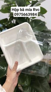 Hộp bã mía 3 ngăn đựng thức ăn
