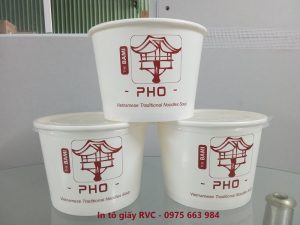 in to giay dung pho 1