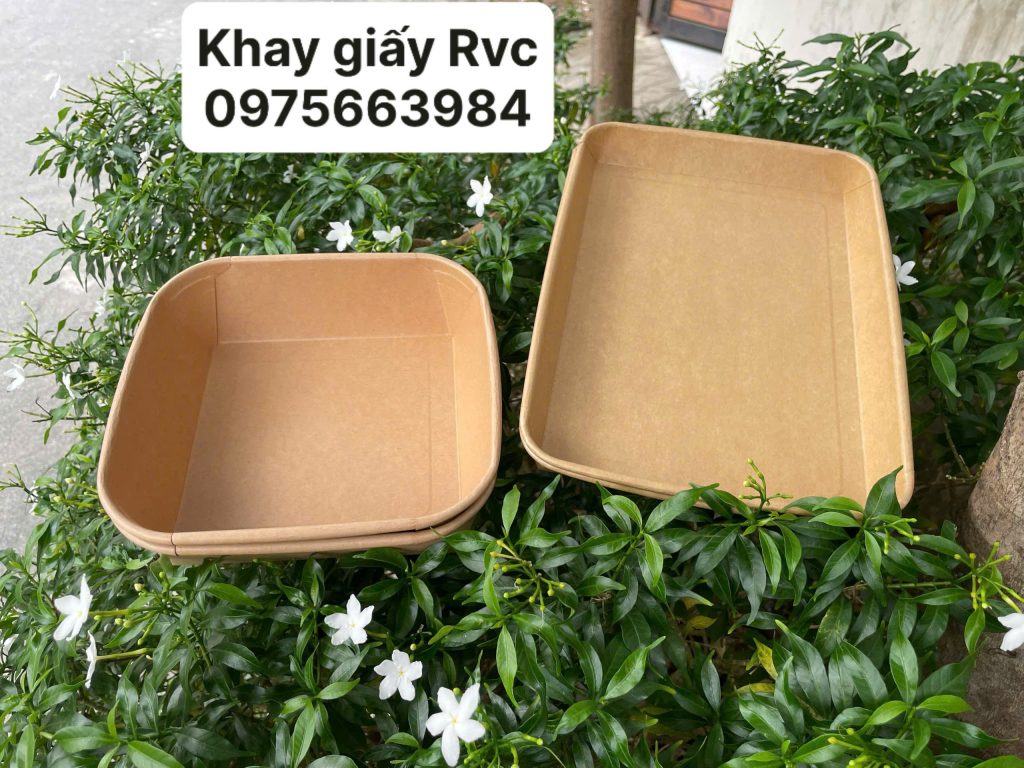 Khay giấy kraft Khay giấy kraft