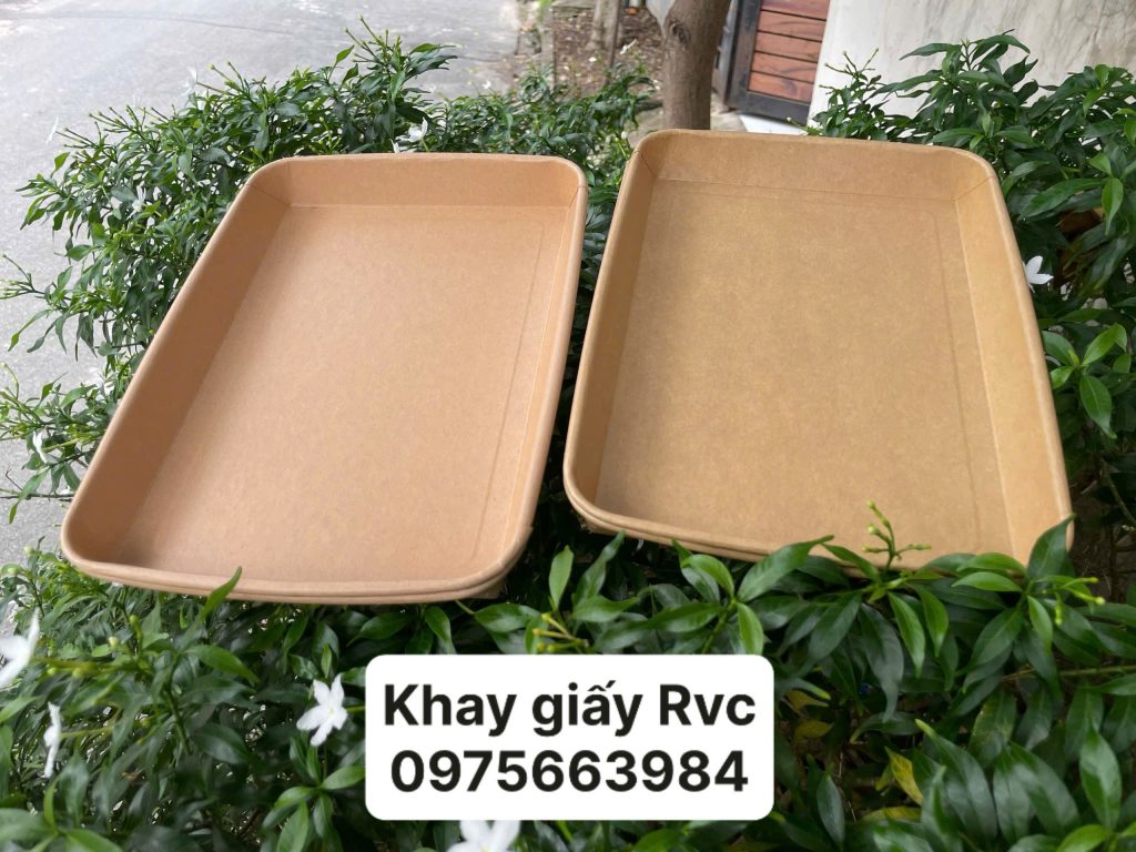 Khay giấy kraft 260x190x25mm đựng thức ăn size lớn Khay giấy kraft 260x190x25mm đựng thức ăn size lớn