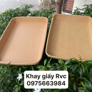 Khay giấy kraft 260x190x25mm đựng thức ăn size lớn