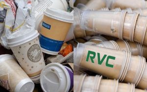 Các loại ly giấy đang nổi lên với vai trò thay thế cho những chiếc cốc nhựa gây ô nhiễm môi trường