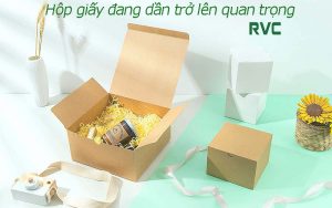 Hộp giấy đang dần trở thành vật dụng nhận diện thương hiệu trên nhiều ngành nghề khác nhau