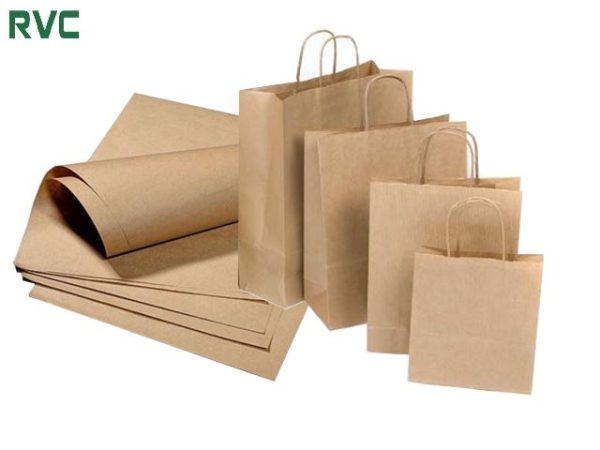 Túi giấy kraft đựng thực phẩm
