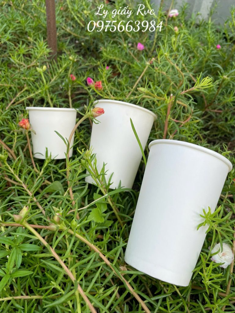 Ly giấy 300ml đựng đồ uống văn phòng, cafe tiện lợi 1 z6484911362764 3eaacdd4a6748ef36b10ad9df2df504f