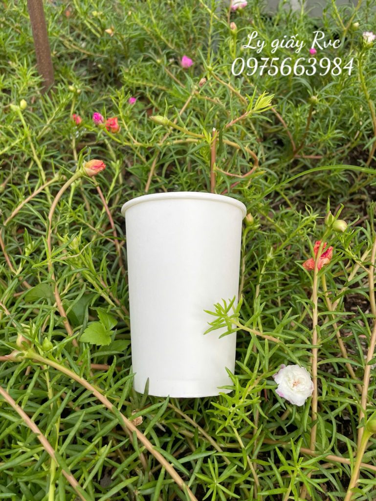 Ly giấy 360ml đựng cafe mang đi đảm bảo sức khỏe 1 z6484996218764 a395c944a540a6cb6426057b3f7edfef